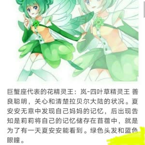 【小花仙】暗影精灵王