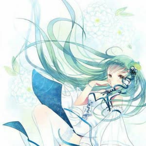 满天星中的初音