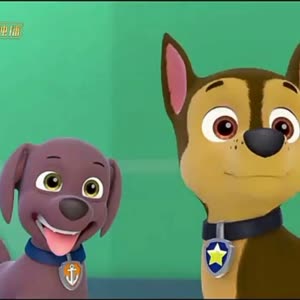 paw patrol chase 汪汪队阿奇