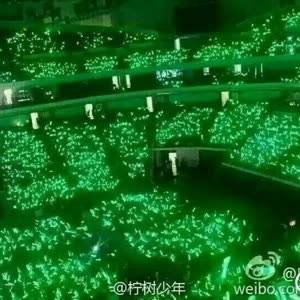 【唯爱王源】五周年 演唱会期间,粉丝们积极为王源应援,众多绿色