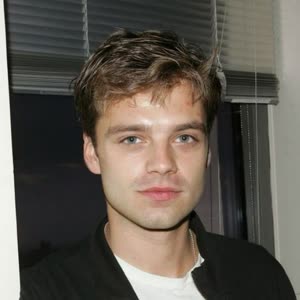 塞巴斯蒂安斯坦sebastian stan